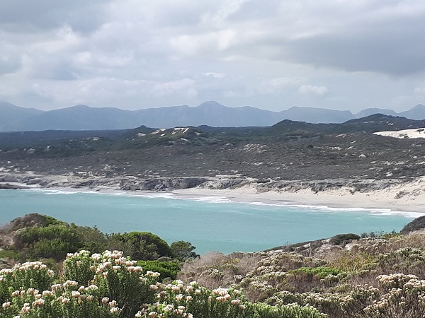 Walker Bay coastline, Die Plaat